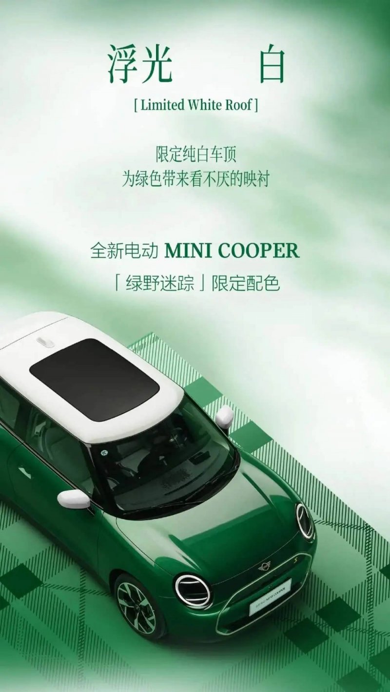 【围绕“169”抓落实工作思路 加强变革创新突破】定州市开展春风举措专项服务活动